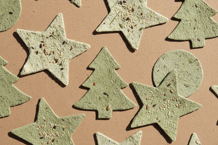 Eco-friendly seed paper holiday cards that can be planted - sustainable Christmas gifts